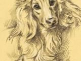 Drawing Ideas for Dogs 68 Animal Charcoal Ideas Art Pinterest Drawings Animal
