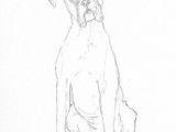 Drawing Ideas for Dogs Boxer Dog Sketch by Battlekat S Boutique Art In 2019 Sketches