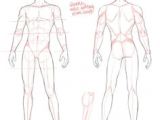 Drawing Male Anatomy Tumblr 34 Best Drawing Male Anatomy Images Character Design Drawings