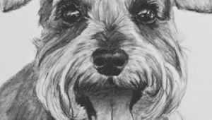 Drawing My Dog Maggie 1555 Best Dogs Images In 2019 Graphite Pencil Drawings Sketches