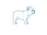 Drawing Of 3d Dog Frenchie Illustration to Be Printed On Children S Clothing 3d