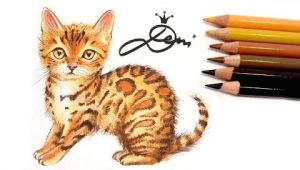 Drawing Of A Bengal Cat Bengal Katze Zeichnen Lernen Mit Buntstiften How to Draw A Bengal