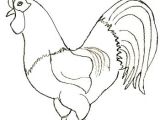 Drawing Of A Cartoon Rooster How to Draw A Rooster Step 5 Roosters Drawings Rooster