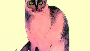 Drawing Of A Cats Paw Pink Cat Illustration Cats Cat Art Cats Illustration