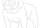 Drawing Of A Dangerous Dog How to Draw A Bulldog Your Drawing Lessons