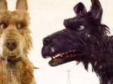 Drawing Of A Dog Digging isle Of Dogs Cast Meet the Famous Voice Actors Hollywood Reporter