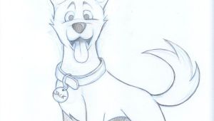 Drawing Of A Dog Park Drawings Of Dogs Kelpie Dog Sketch by Timmcfarlin On Deviantart
