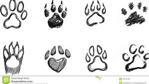 Drawing Of A Dog Paw Draw A Dog Paw Print How to Draw A Paw Drawing Basics In 2019