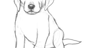 Drawing Of A Dog Sitting Dog Drawings In Pencil Easy for Kids Sketch Coloring Page Drawing