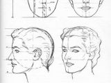 Drawing Of A Girl Head Proportion Guide for How to Draw the Female Head From the Book