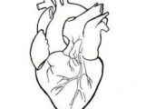 Drawing Of A Heart attack How to Draw A Heart Science Drawing Lesson Drawing Ideas 3 In