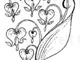 Drawing Of A Heart with Flowers Tattoo Tattoo Pinterest Tattoos Vine Tattoos and Heart Flower