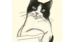 Drawing Of A Mean Cat 2291 Best Cat Drawings Images Cat Art Drawings Cat Illustrations