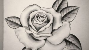 Drawing Of A Rose In A Hand Pin by Sydney Mayes On Tattoo Pinterest Tattoos Rose Tattoos