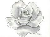 Drawing Of A Rose In Pencil 58 Best Draw Flowers Images Flower Designs Quote Coloring Pages