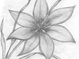 Drawing Of A Rose In Pencil 61 Best Pencil Drawings Of Flowers Images Pencil Drawings Pencil