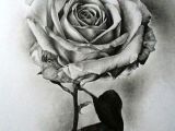 Drawing Of A Rose In Pencil Pin by Crystals Hutt On Flower Plants Drawings In 2019 Drawings
