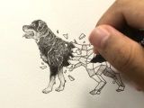 Drawing Of A Rottweiler Dog Geometric Beasts Rottweiler Inking Process Coloring Pinterest