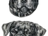 Drawing Of A Rottweiler Dog Rottweiler Sketches by Reincheck Dogs and Psy I