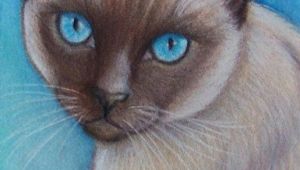 Drawing Of A Siamese Cat original Siamese Cat Art Colored Pencil by Artbylisamnelson Art