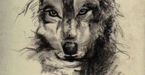 Drawing Of A Wolf Dog 73 Amazing Wolf Tattoo Designs Ink Wolf Tattoos Tattoos Wolf
