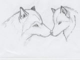 Drawing Of A Wolf Easy 180 Best Wolf Drawings Images Drawing Techniques Drawing