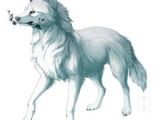 Drawing Of A Wolf Pack 87 Best Wolf Pack Images Animal Drawings Drawings Fantasy Wolf
