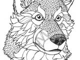 Drawing Of A Wolf S Face Wolf Coloring Pages Printable Unique Coloring Pages Wolfs Coloring