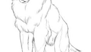 Drawing Of A Wolf Sitting 109 Best Wolf Images Wolf Drawings Art Drawings Draw Animals