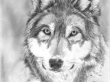 Drawing Of A Wolf Walking 109 Best Wolf Images Wolf Drawings Art Drawings Draw Animals