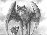 Drawing Of A Wolf with Wings 88 Best Wolf with Wings Images Wolves Fantasy Art Fantasy Artwork