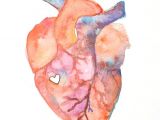 Drawing Of An Actual Heart Anatomy Of Love Human Heart Watercolor Print Diy Inspiration