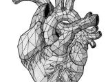 Drawing Of An Actual Heart Poligonal Heart Tattoo Anatomical Heart Drawings Heart Art