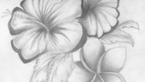 Drawing Of Different Flowers 28 Best Line Drawings Of Flowers Images Flower Designs Drawing