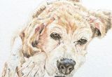 Drawing Of Dog Gift Custom Pet Portrait A5 Watercolour Dog Portrait Pet Memorial