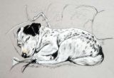Drawing Of Dog Gift Jack Russell Print Of My Terrier Sketch Ideal Jack Russell Gifts
