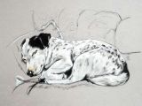 Drawing Of Dog Gift Jack Russell Print Of My Terrier Sketch Ideal Jack Russell Gifts