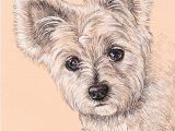 Drawing Of Dog Gift Lisa Creative Lab Custom Pet Portrait From Photo Dog Portrait