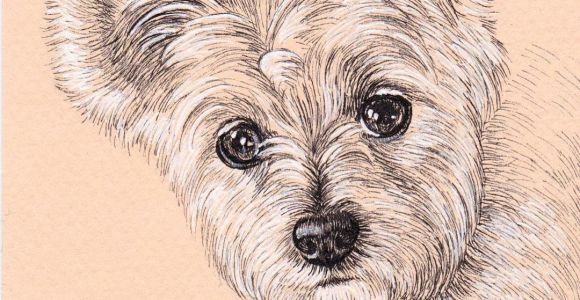 Drawing Of Dog Gift Lisa Creative Lab Custom Pet Portrait From Photo Dog Portrait