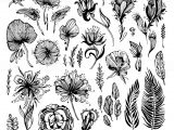 Drawing Of Exotic Flowers Set Of Black and White Exotic Flowers Stock Vector Art More Images