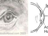Drawing Of Eye with City Reflection Sketching Tips How to Draw Expressive Eyes