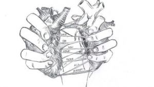 Drawing Of Finger Heart Appart Heart Arm Tatt Pinterest Drawings Broken Heart