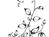 Drawing Of Flower Vines How to Draw Vines Good Drawing Of A Vine Clipart Best Crafty In