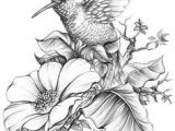 Drawing Of Flowers and Birds 668 Best Bird Applique Images Birds Bird Applique Bird Paintings