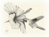 Drawing Of Flowers and Birds Amazing Pencil Drawings Flowers Drawing Sketch Art Wildlife Bird