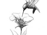 Drawing Of Flowers and Birds Pin by Teresa Haines On Tatoos Hummingbird Tattoo Tattoos Drawings