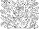 Drawing Of Flowers Colored Adult Coloring Pages Colored Luxury Adultcolor Pages Feather