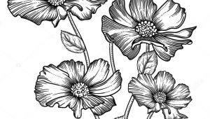 Drawing Of Flowers for Decoration Blooming forest Flowers Detailed Hand Drawn Vector Illustration