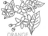 Drawing Of Flowers for Embroidery 1397 Best Embroidery Flowers Images Embroidery Embroidery