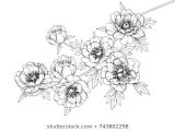 Drawing Of Flowers with Poster Colours Flower Line Drawing Images Stock Photos Vectors Shutterstock
